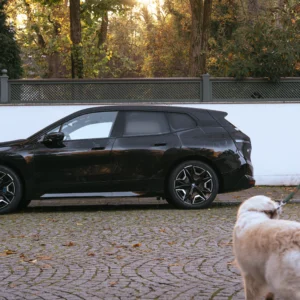 Auto-Abonnement als moderne Alternative zum klassischen Autobesitz