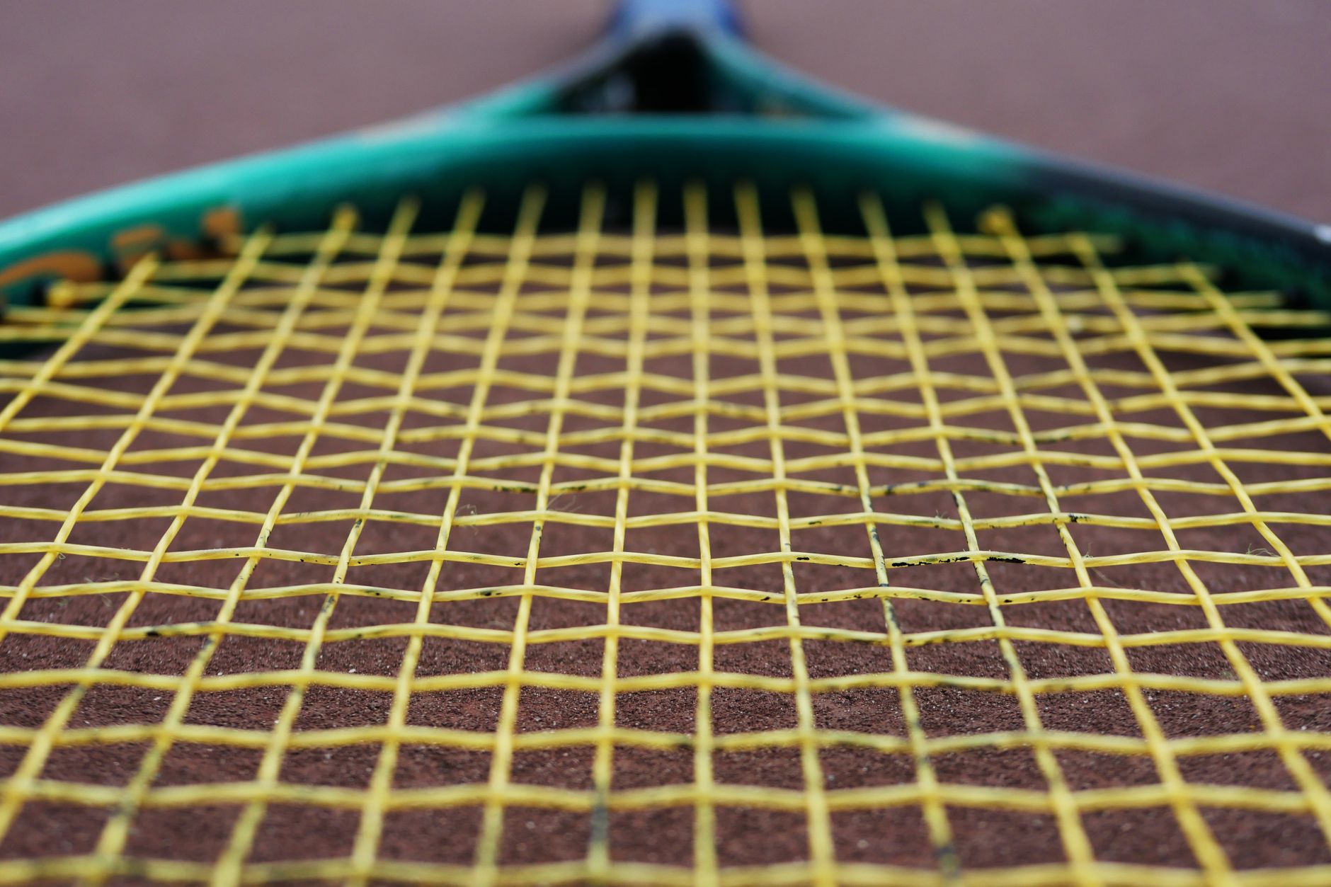 Tennis racket strings close-up