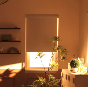 Motorized Blackout Shades for Better Sleep and Rest