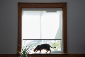 Transform Your Living Space with SmartWings Smart Motorized Blinds and Shades