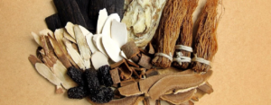Understanding Traditional Chinese Medicine Principles How Ancient Herbs Support Modern Wellness