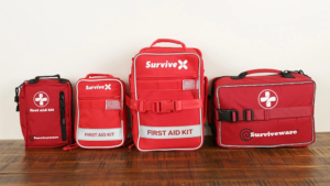 Building a Family Emergency Kit Why Professional First Aid Preparedness Matters