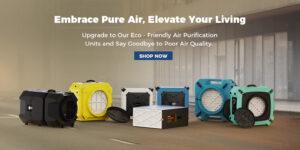 Humidity Control for Health and Comfort Transforming Your Living Space