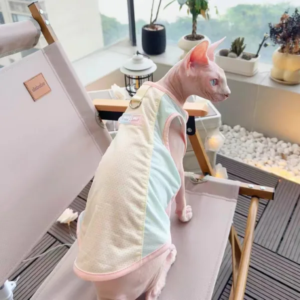 Give Sphynx Cats the Specialised Skin Care and Clothing They Need