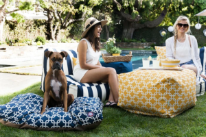 Premium Pet Supplies That Actually Work Why Your Dog Deserves Better
