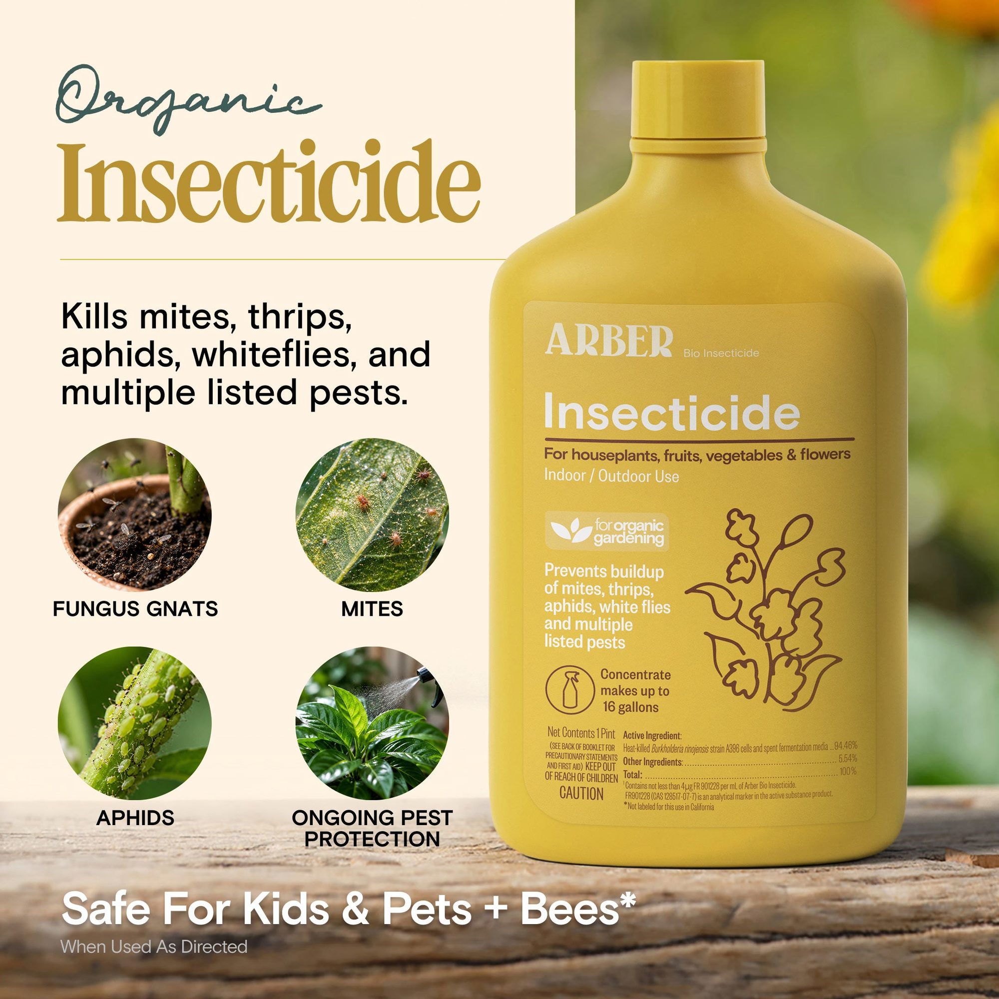 Yellow insecticide bottle with label showing control of fungus gnats, mites, aphids, and ongoing pest protection with green background