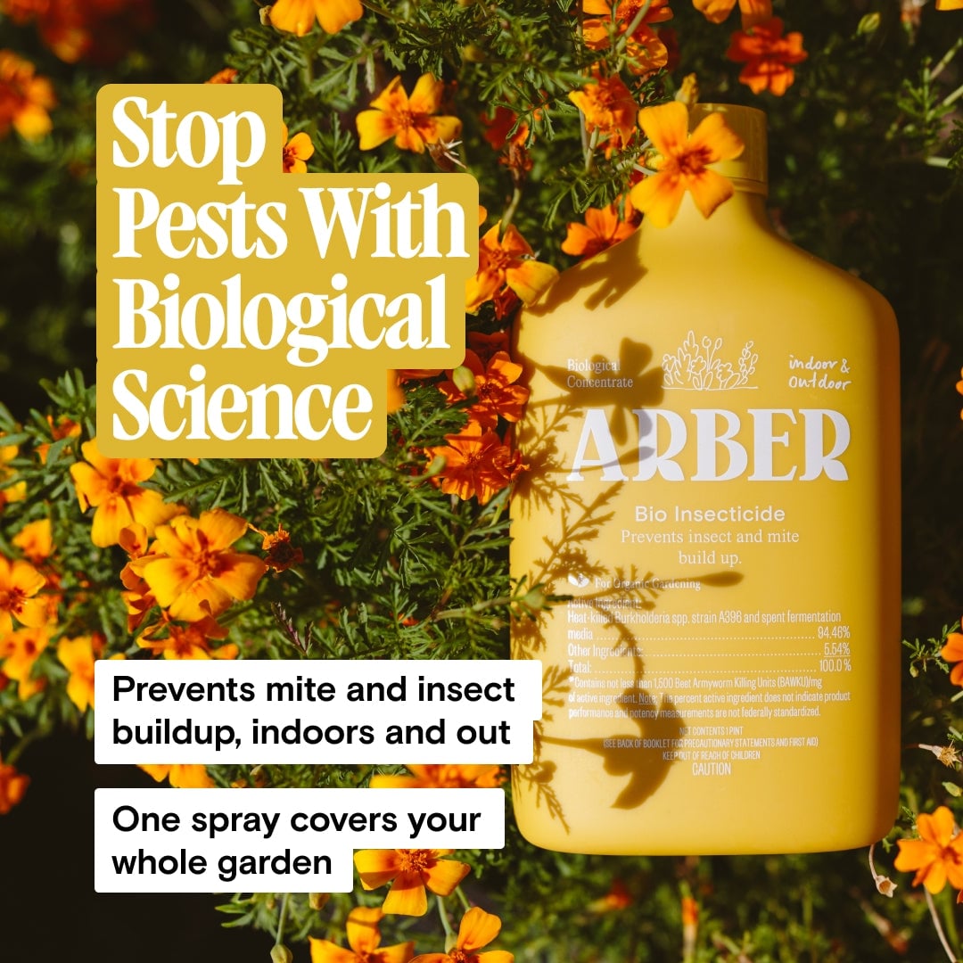 Yellow spray bottle of bio insecticide surrounded by orange marigold flowers in a garden setting