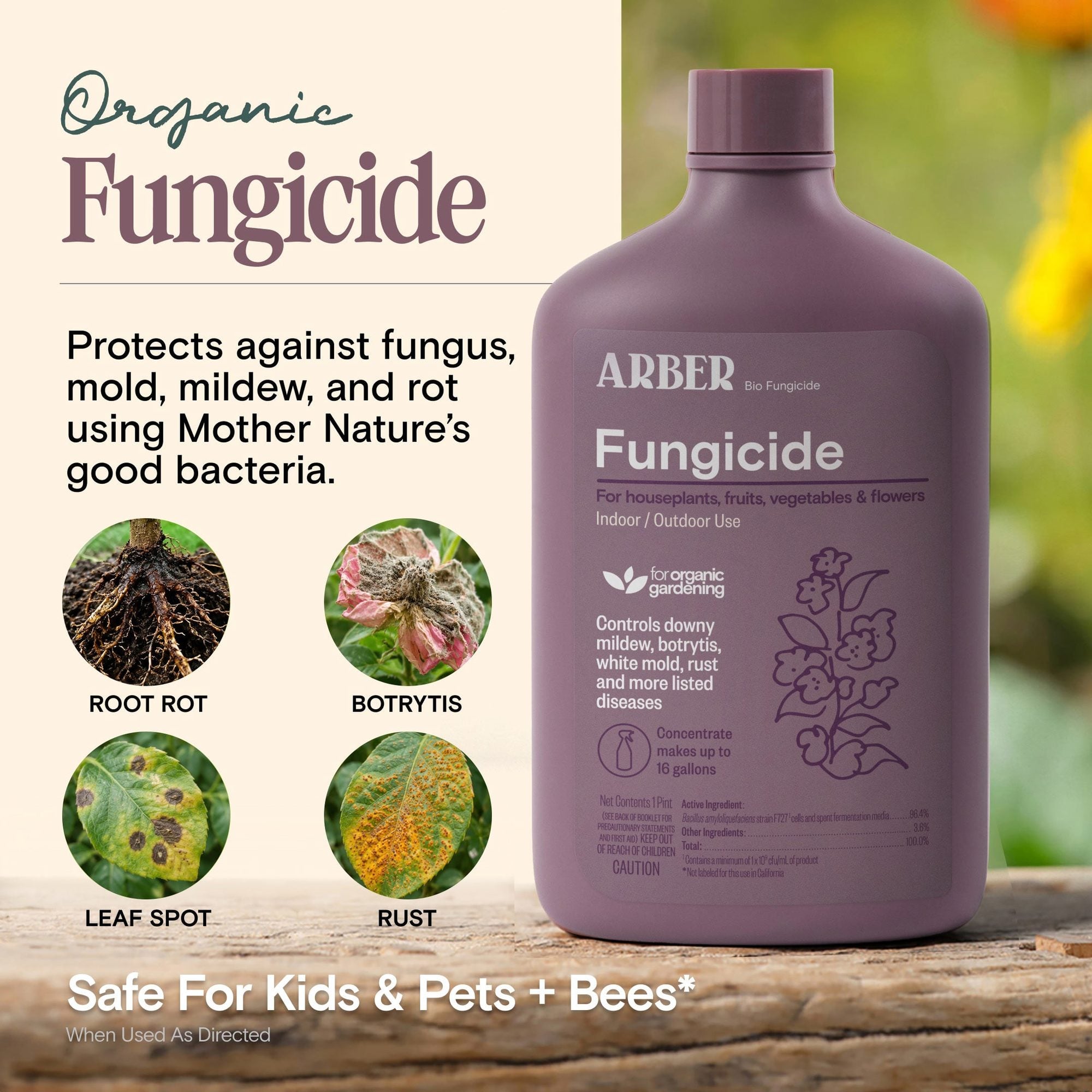 Purple fungicide bottle with label showing protection against root rot, botrytis, leaf spot, and rust diseases with green background
